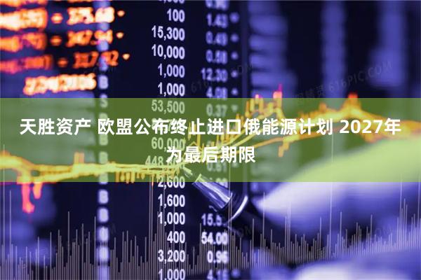 天胜资产 欧盟公布终止进口俄能源计划 2027年为最后期限