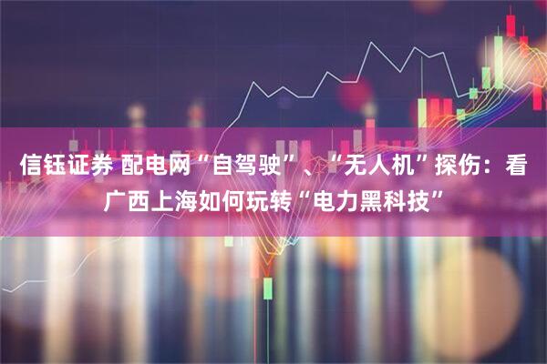 信钰证券 配电网“自驾驶”、“无人机”探伤：看广西上海如何玩转“电力黑科技”