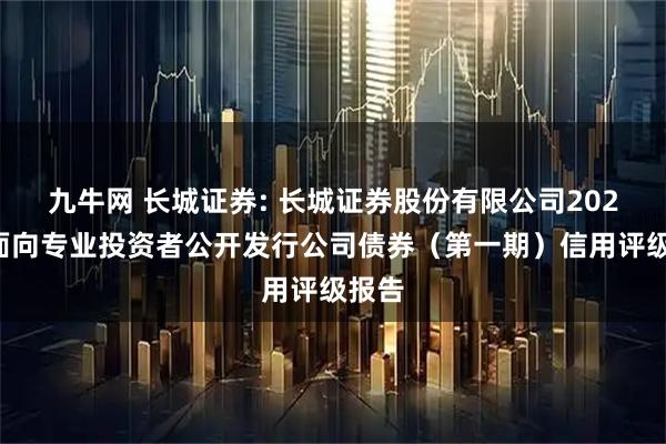 九牛网 长城证券: 长城证券股份有限公司2025年面向专业投资者公开发行公司债券(第一期)信用评级报告