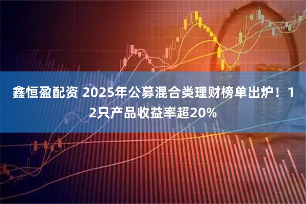 鑫恒盈配资 2025年公募混合类理财榜单出炉！12只产品收益率超20%