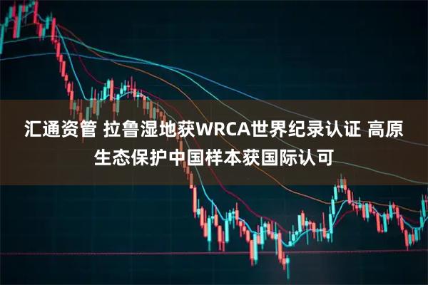 汇通资管 拉鲁湿地获WRCA世界纪录认证 高原生态保护中国样本获国际认可